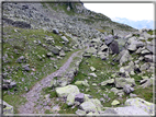 foto Forcella di Montalon